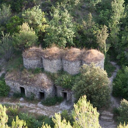 Apartaments Puig Gili Mura Dış mekan fotoğraf